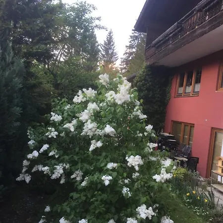 Ferienhaus Wieswald Ehrwald Exterior photo