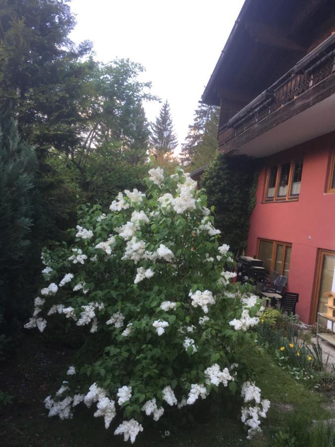 Wieswald