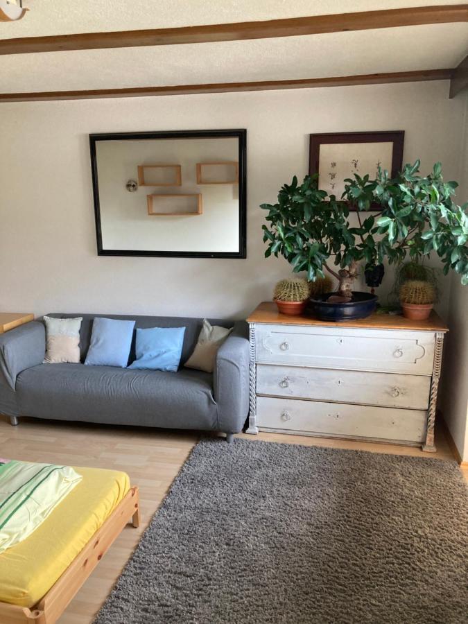 Wieswald Apartment